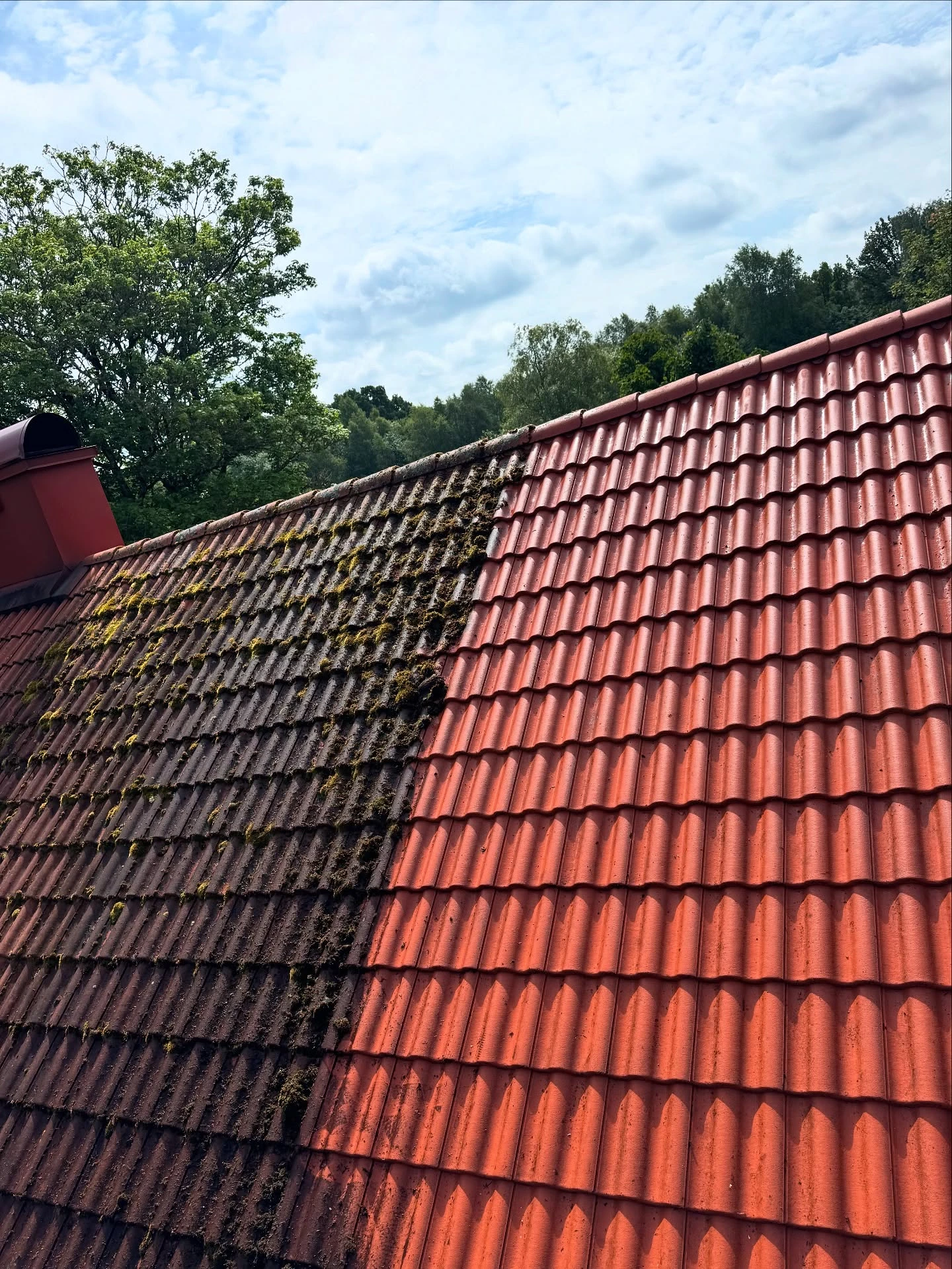 Takrengöring & Algbehandling